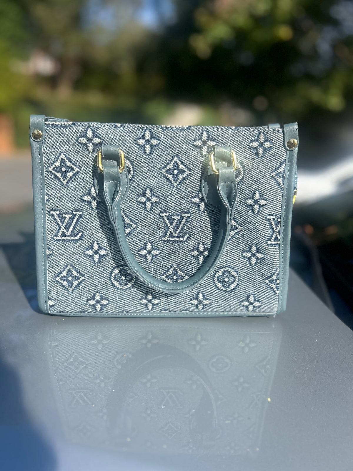 Denim and Bow LV Bag