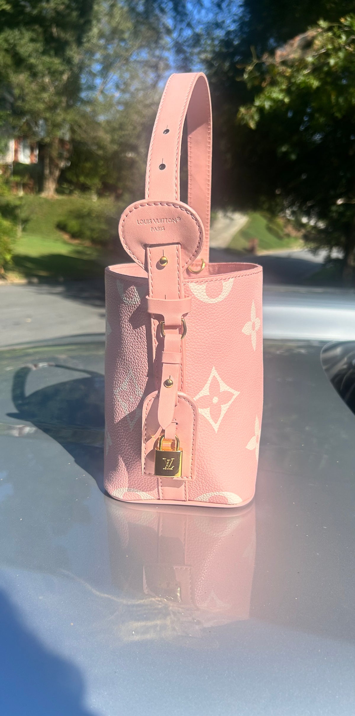 Pretty in Pink LV Bucket Bag and Coin Pouch