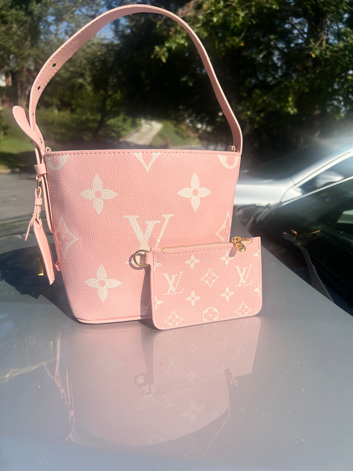 Pretty in Pink LV Bucket Bag and Coin Pouch