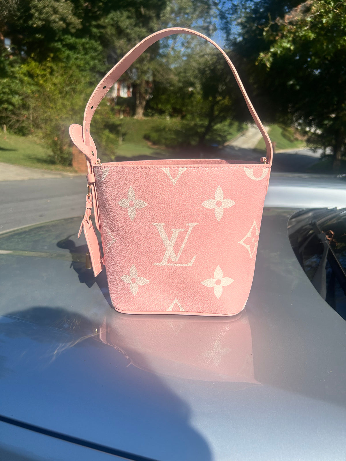 Pretty in Pink LV Bucket Bag and Coin Pouch